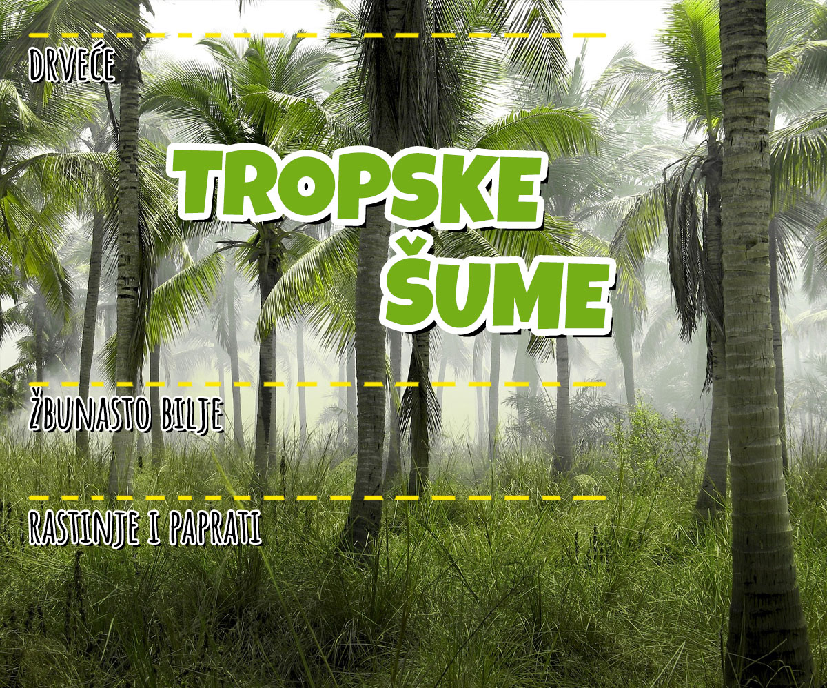 tropske-sume