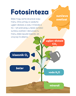 Nagrada: Fotosinteza digitalni poster