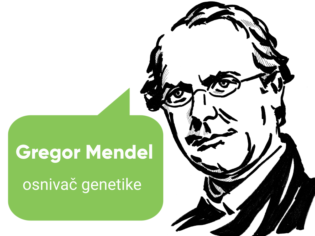 Gregor MEndel