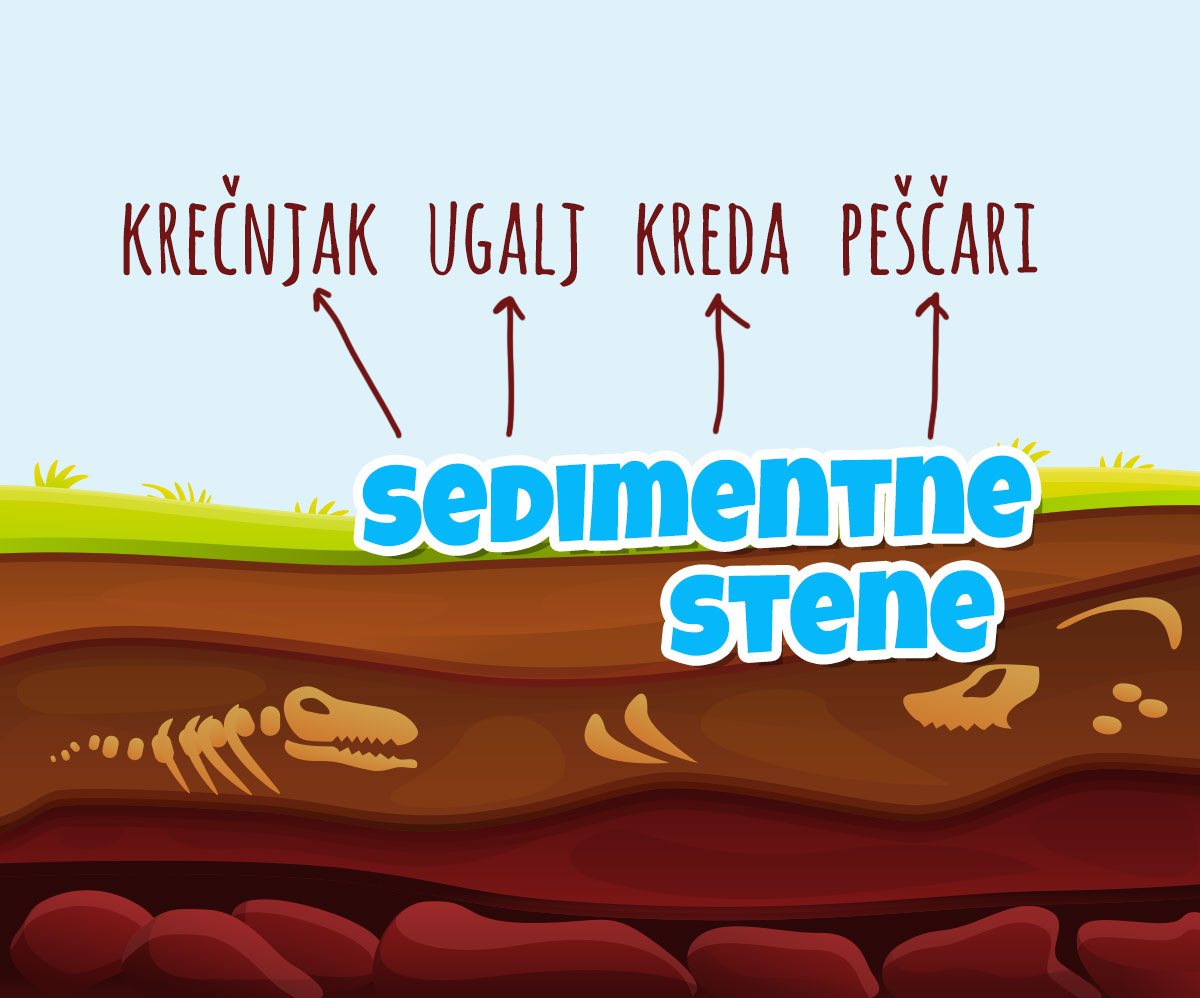 sedimentne