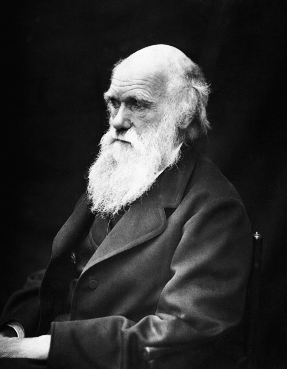 Charles_Darwin1