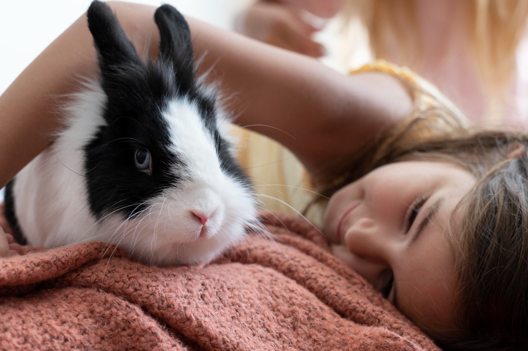 close-up-child-playing-with-rabbit-pet (1)