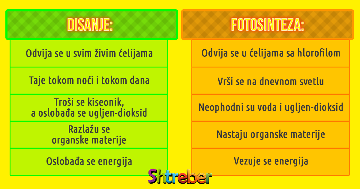 Disanje I Transpitacija Shtreber