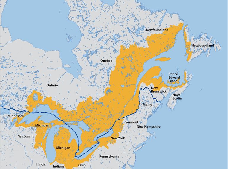 Где на карте залив святого лаврентия. Р св Лаврентия на карте Северной Америки. Река Святого Лаврентия на карте Северной Америки. Река Святого Лаврентия на карте Северной Америки в атласе.