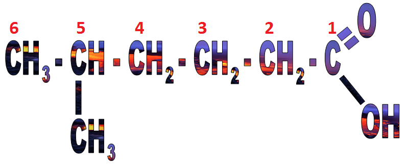 5-metilpentanska kiselina
