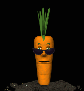 cool carrot