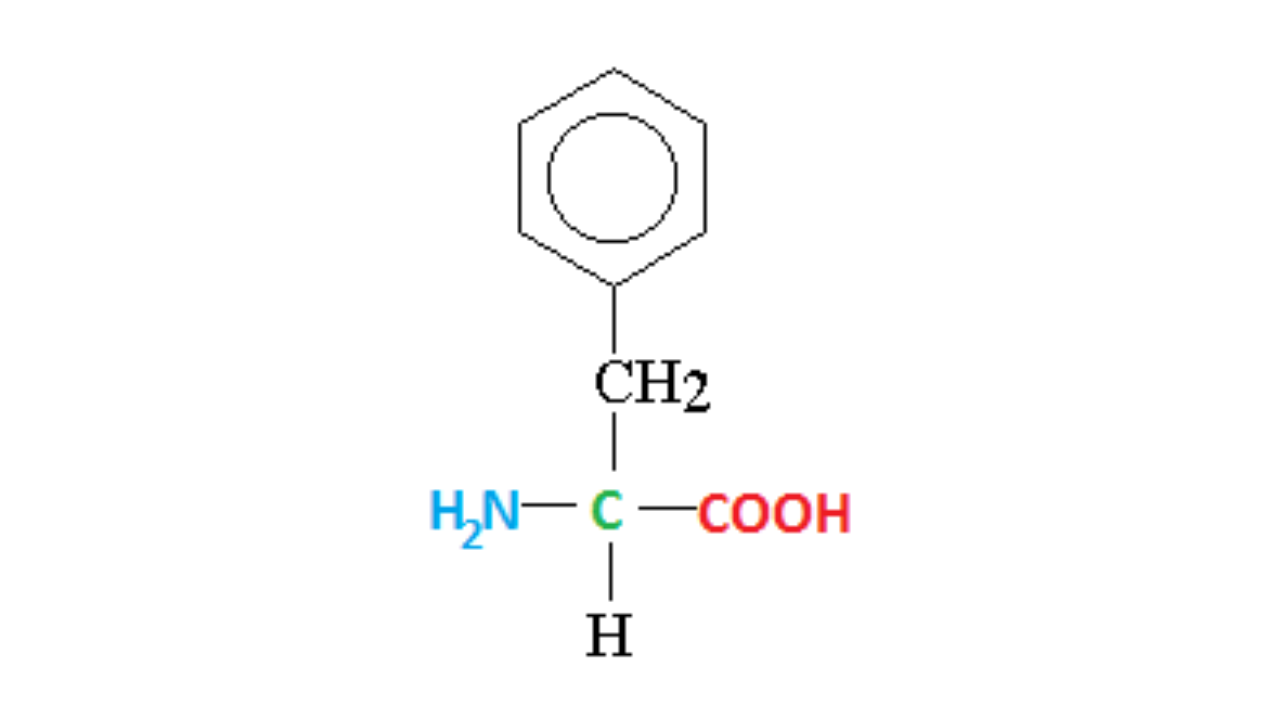 <p style="text-align: left;">Ugljovodonični niz alfa-amino-kiselina može da sadrži i aromatične ostatke. Primer je <strong>fenilalanin</strong>.</p>