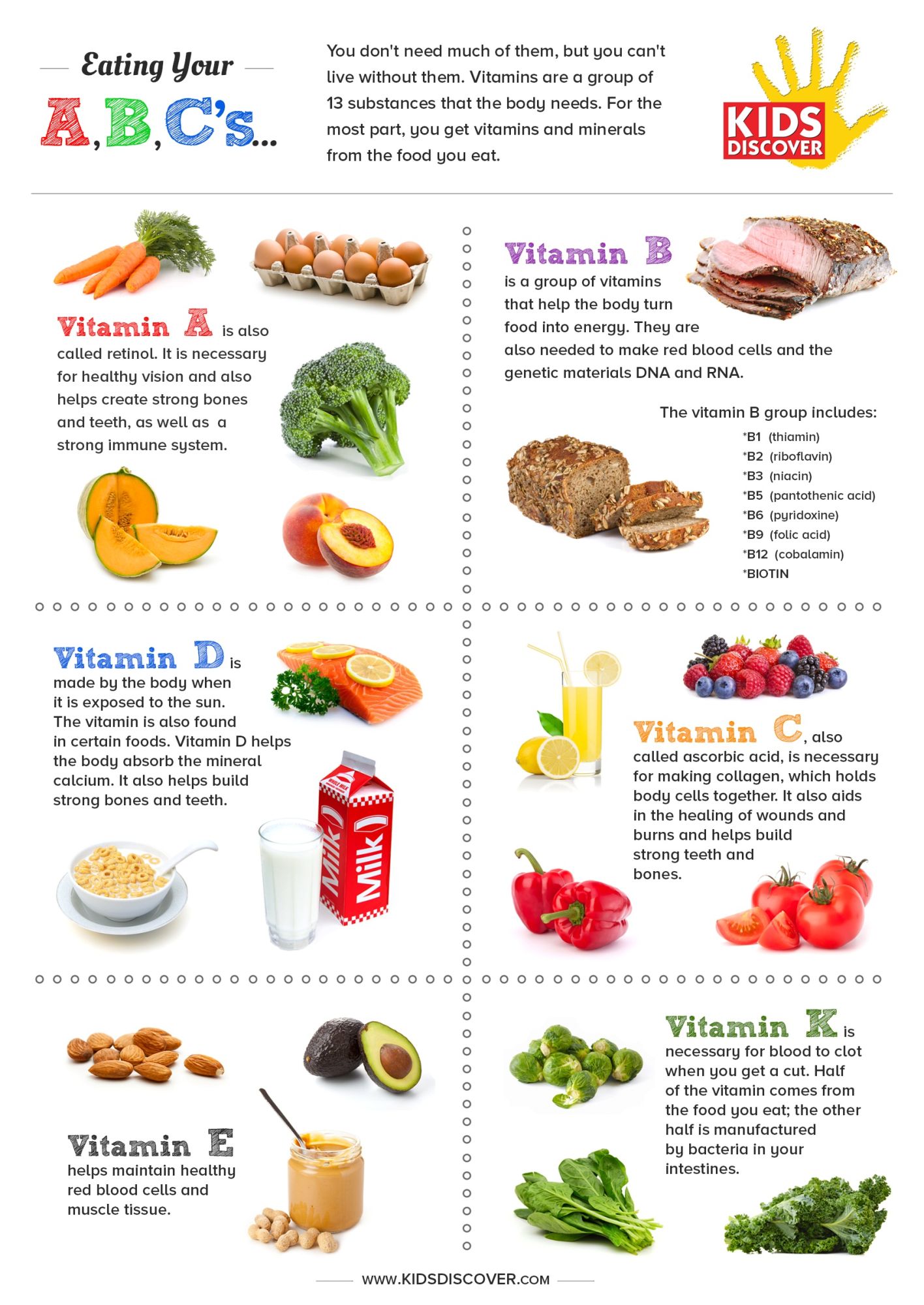 KIDS-DISCOVER-Vitamins-Infographic